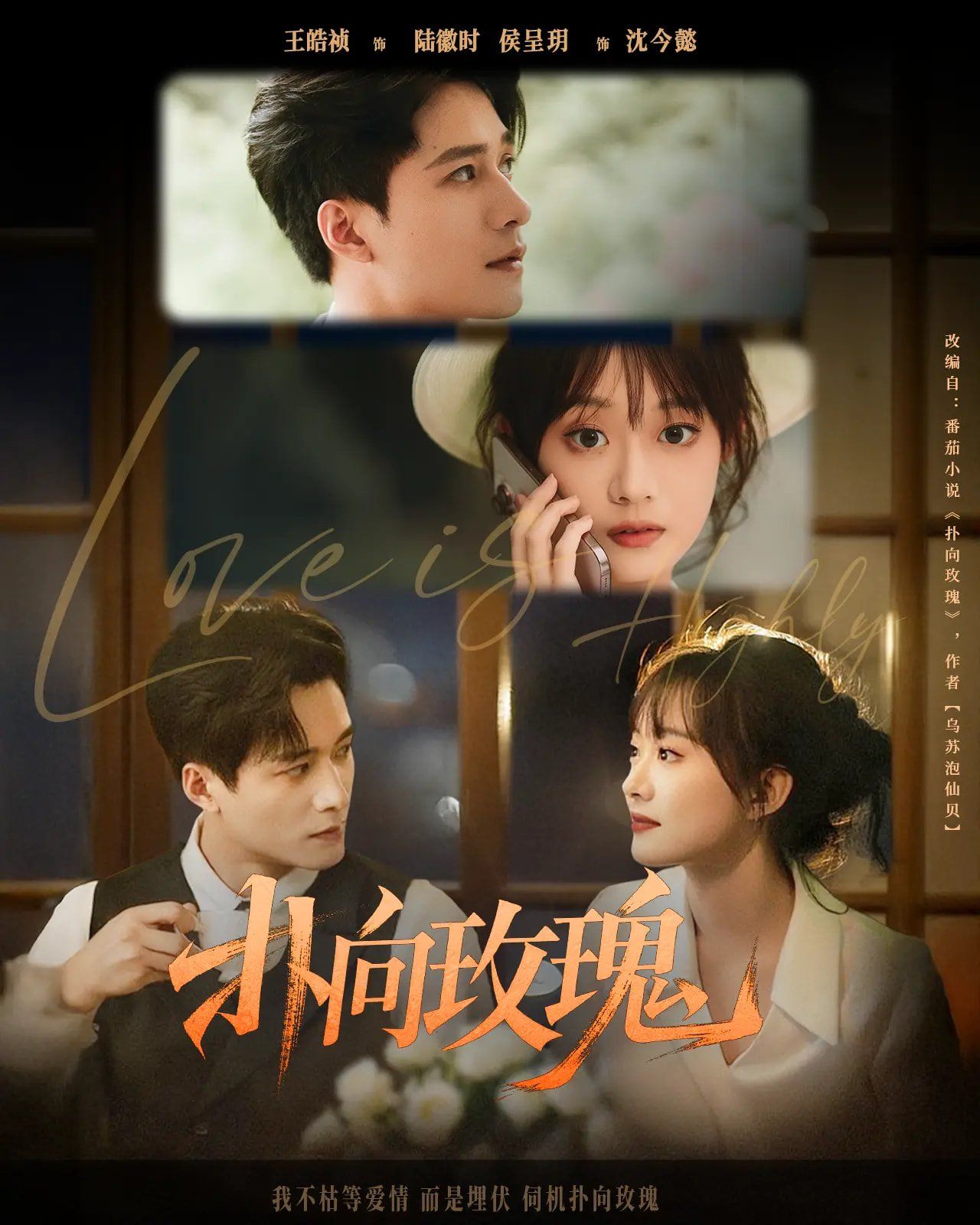 扑向玫瑰(全集)