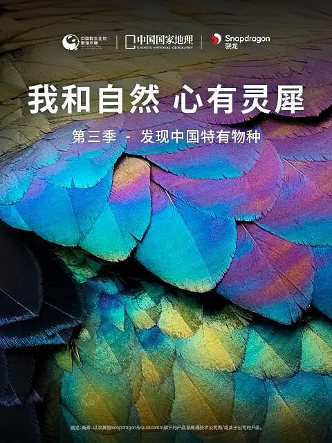 我和自然 心有灵犀 第三季(全集)