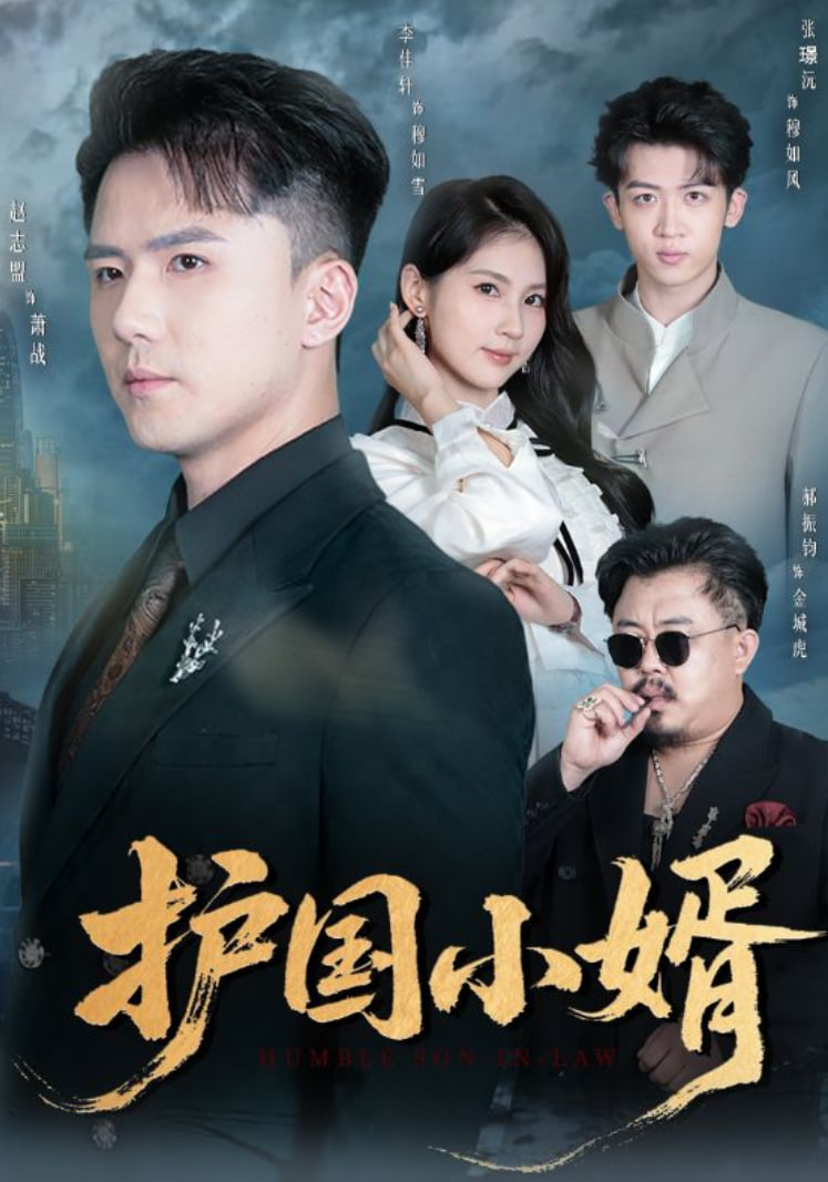 护国小婿(全集)