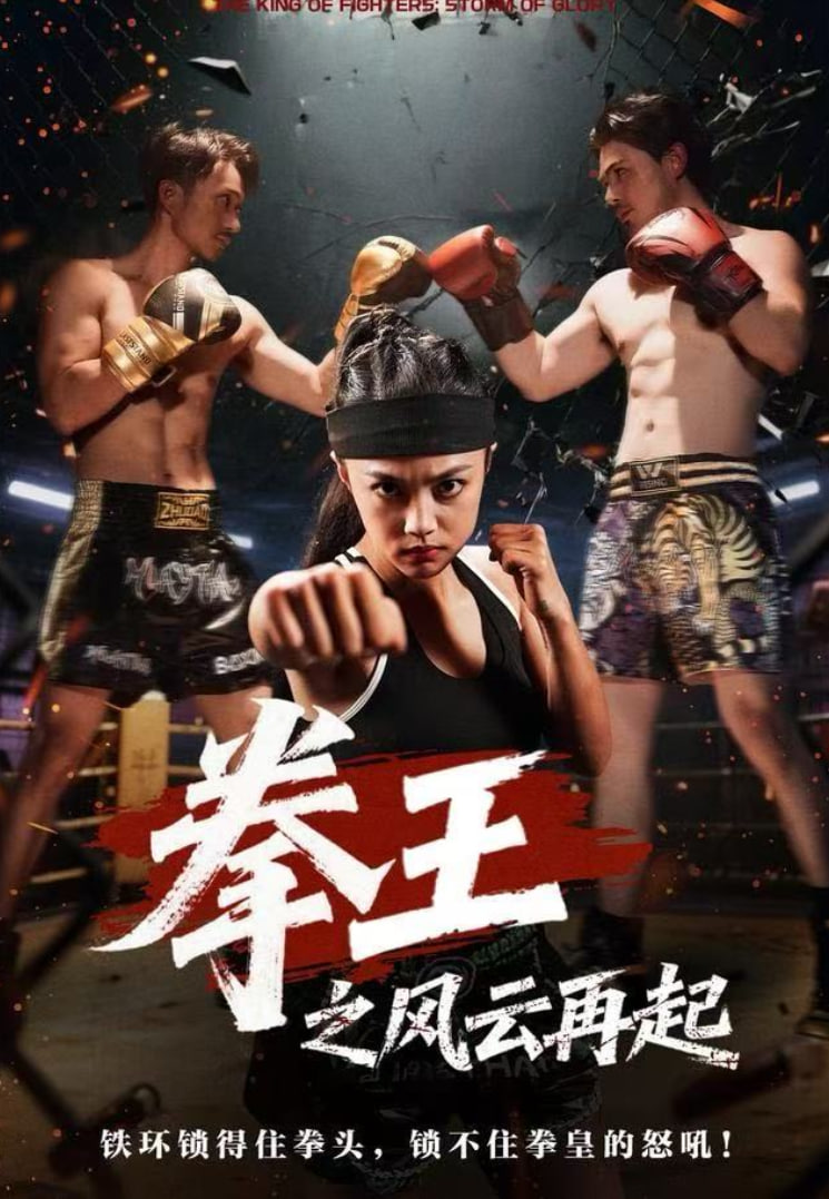 拳王之风云再起(全集)