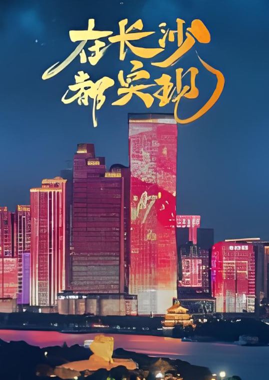 在长沙都实现(全集)