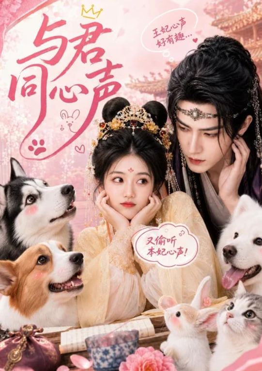 与君同心声(全集)
